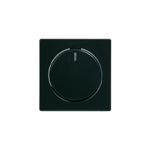 Centrumplatta Dimmer Transparent lins, IP21 Med glimlampa, Antracit Impressivo