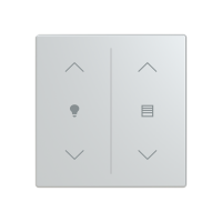 Centrumplatta KNX/f@h IMPRESSIVO